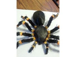 peludo tarántula imán de nevera a los animales articulados error espeluznante cabello insectos el miedo la araña 3d print model - Mito3D