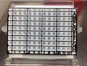 de acordo com pcr placa guia carregamento biologia laboratório a rtpcr 3d print model - Mito3D