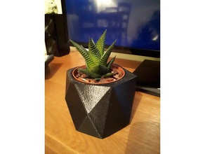 low poly um vaso de planta decoração baixa contagem polígonos plantadeira plantas 3d print model - Mito3D