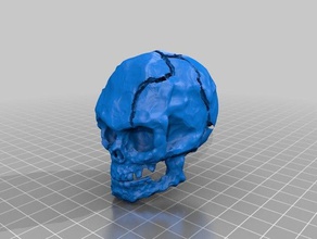 crusty skull sculptures dungeons dragons rpg 3d print model - Mito3D