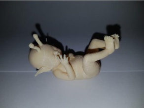 newborn fairy toys & games baby little fae tiny 3d print model - Mito3D