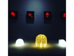 brain mri scan biology art body decoration hollow human led light lighting sla slice support 3d print model - Mito3D
