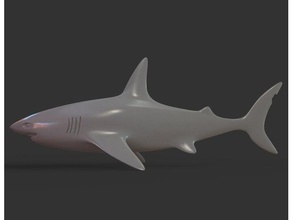 shark animals animal fin fish ocean sculpture sea stone strong teeth 3d print model - Mito3D