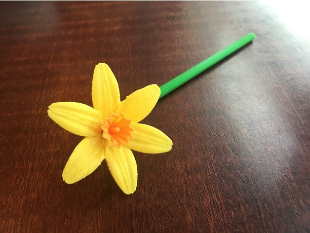 bahar narcissi dekor bloom çiçeklenme çiçek ampul dekorasyon narcissus yaprakları 3D print model - Mito3D