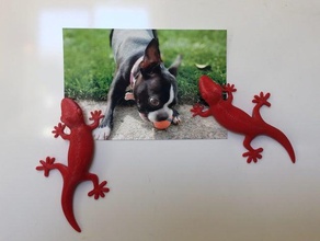 gecko fridge magnet kitchen & dining fridge-magnet magnets 3d print model - Mito3D