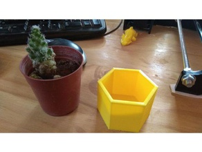 mini pot de fleurs extérieur et jardin cactus sol maceta plantas plantes 3d print model - Mito3D