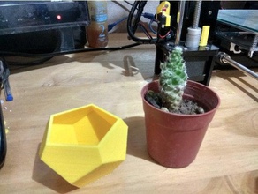 mini pot de fleurs 2 extérieur et jardin cactus coupe fleur macetas plantas plantes recipiente 3d print model - Mito3D