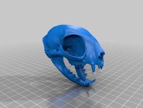 domestic cat skull biology carnivore felis 3d print model - Mito3D