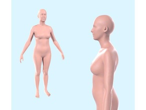 stamat - casi medio cuerpo de la mujer a escala 1 2 personas grande femenino figura completo humano gran tamaño multi-parte el desnudo escultura 3d print model - Mito3D