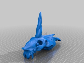unicorn skull no jaw decor remix 3d print model - Mito3D