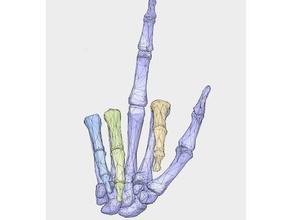 crâne à la main f vous art 3d print model - Mito3D