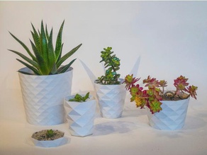 paramétrique des pots de fleurs ménage personnalisables customizer la fleur vase en spirale mode d'impression 3d print model - Mito3D
