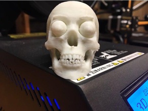 glow dark skull toys & games 3d print model - Mito3D