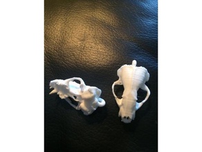 american badger skull pendant jewelry animal carnivore cosplay accessory fashion mammal mustelidae 3d print model - Mito3D