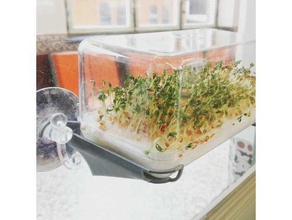 finestra serra ferrero rocher box all'aperto e giardino crescione a effetto in crescita erbe aromatiche la pianta fioriera ventosa 3d print model - Mito3D