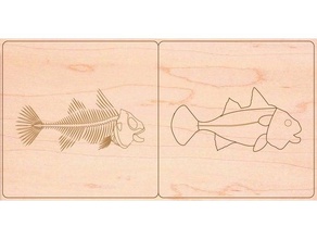 les poissons zoologie animal puzzle montessori découpé au laser de la biologie l'anatomie du poisson lasercut lasercutter coupeur vertèbres vertébrés bois 3d print model - Mito3D