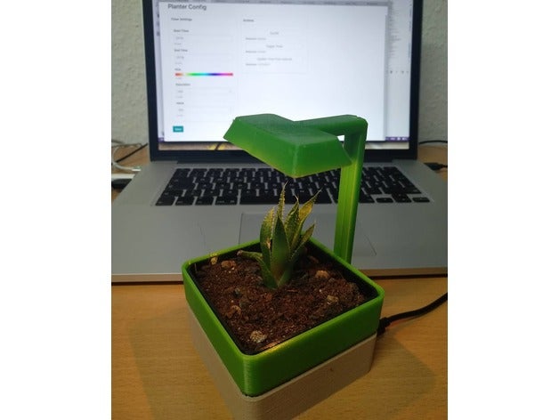 çok leziz çiftlik açtı dekor internet işleri ekici etli sahibi kuvöz pot vazo succulents 3D print model - Mito3D