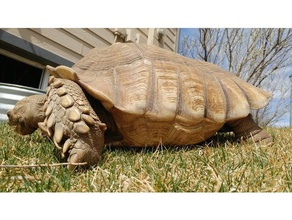 sulcata tortoise shell animals 3d print model - Mito3D