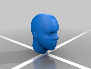human head 1 6 scale scans & replicas action figure face male 3d print model - Mito3D