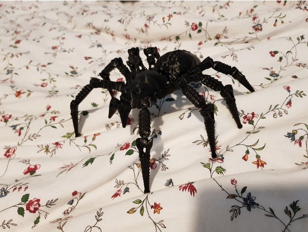 wolf spider remezclada a los animales araignee aranha la araña lobo 3D print model - Mito3D