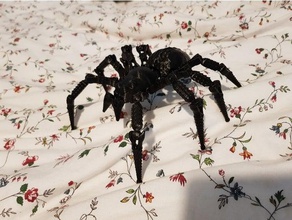 wolf spider remixed animals araignee aranha 3d print model - Mito3D