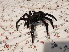 wolf spider remixed Tiere araignee aranha 3d print model - Mito3D