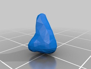 nose biology 3d print model - Mito3D