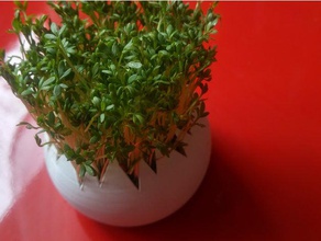 vase cuckooflower Dekor Blumen-vase 3d print model - Mito3D