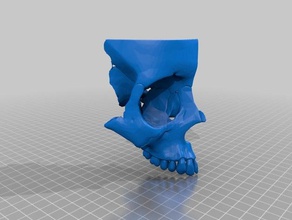skull cut 3 people 3d print model - Mito3D