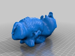Elefanten lillysdreamcometrue scans & Replikate makerbotdigitizer scan 3d print model - Mito3D