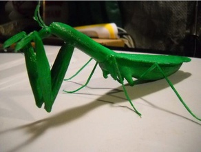 mantis religiosa criaturas 3d print model - Mito3D