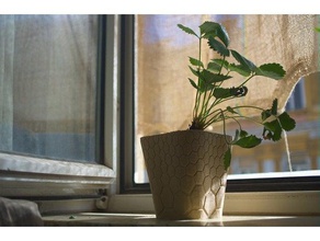 favo de mel plantador 1 exterior e jardim cache pote vaso flores plantadeira um planta 3d print model - Mito3D