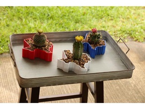 texas planter decor cactus ffa 3d print model - Mito3D