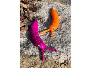 googly slug animali 3d print model - Mito3D