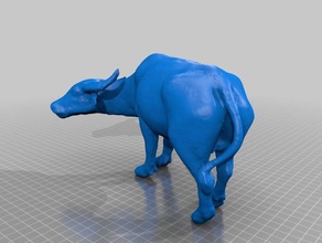 thai water buffalo scans & replicas 3d print model - Mito3D