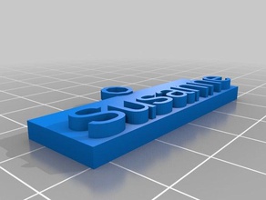 sus Anahtarlık özelleştirilmiş 3d print model - Mito3D