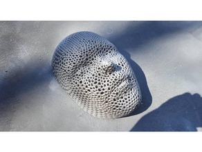 de voronoi style masque pour le visage costume 3d print model - Mito3D