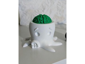 ahtapot beyni açık hayvanlar 3d print model - Mito3D