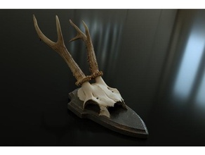 chamois skull antler wood scans & replicas antlers 3d print model - Mito3D