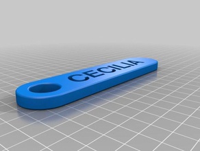 il mio personalizzato chiave a catena doppia arrotondati accessori su misura 3d print model - Mito3D