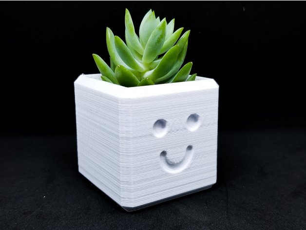 feliz maceta impreso en 3d decoración 3D print model - Mito3D