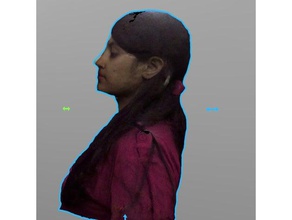 3d scan hansa mehra people 3dscan scanner scanning body hand-held intel realsense r200 3d print model - Mito3D