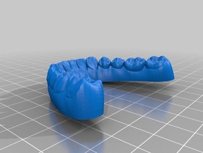 dental bite superiore inferiore biologia morso il dentista dente 3d print model - Mito3D