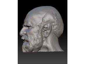 meu amigo bernardo esculturas barba arte clássica homem velho escultura 3d print model - Mito3D