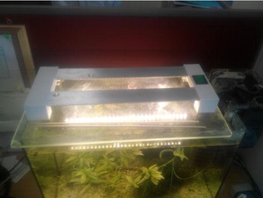 small aquarium lamp pets led 3d print model - Mito3D