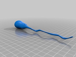 sperm cell biology learning molecular reproduction 3d print model - Mito3D