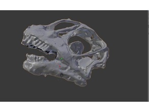 camarasaurus skull animals bone bones dino dinosaur fossil model remix 3d print model - Mito3D