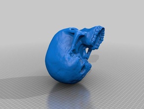 piltdown man people ape fossil human skull 3d print model - Mito3D