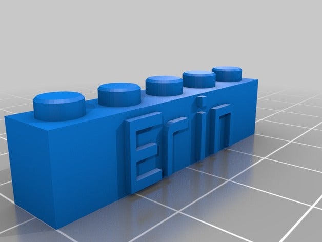 bloco chaveiro erin 5x1 brinquedos de construção personalizado personalizada 3D print model - Mito3D