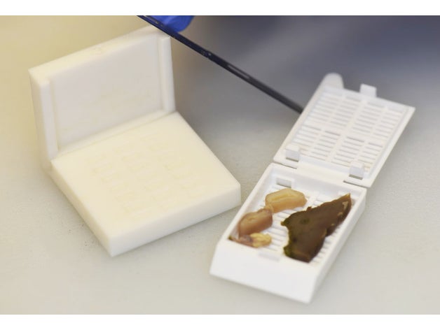 pathology slices guide biology bisturi cassette cutter education experimental grossing holder laboratory sample slice surgical 3D print model - Mito3D